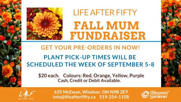 Fall Mums: Now Taking Pre-Orders